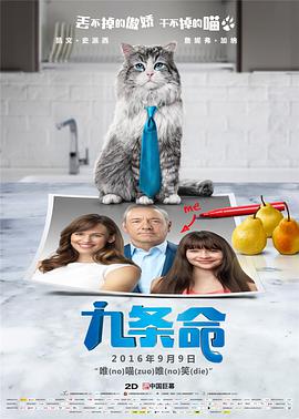 成人伦理视频
