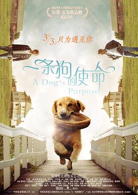 爱爱综合