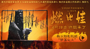 老司机免费