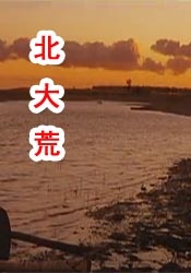 精品综合久久久久久98