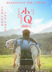 久久香蕉久久
